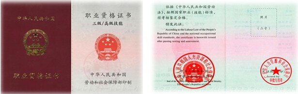 电子商务师三级证书样本